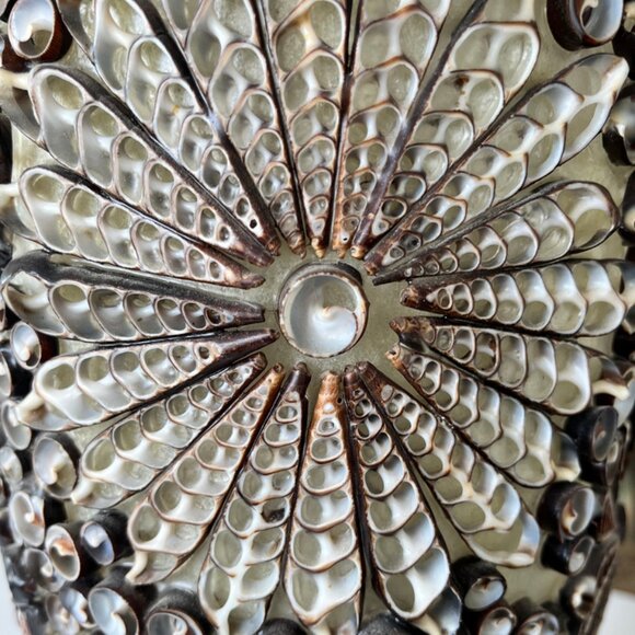 Unique Auger Sea Shell Lamp, 24” High, Only $59 for this beauty! - Picture 3 of 8